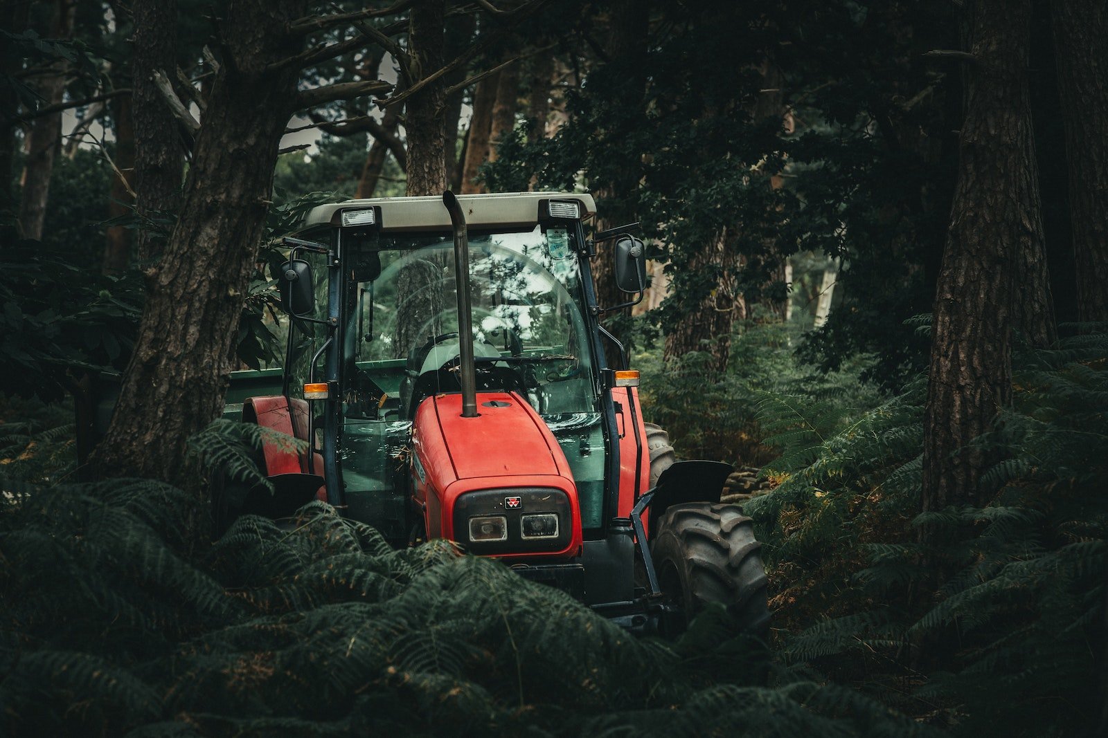 Red Tractor Beside Trees